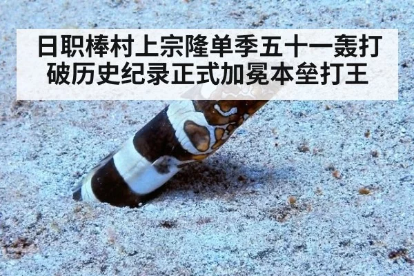 日职棒村上宗隆单季五十一轰打破历史纪录正式加冕本垒打王